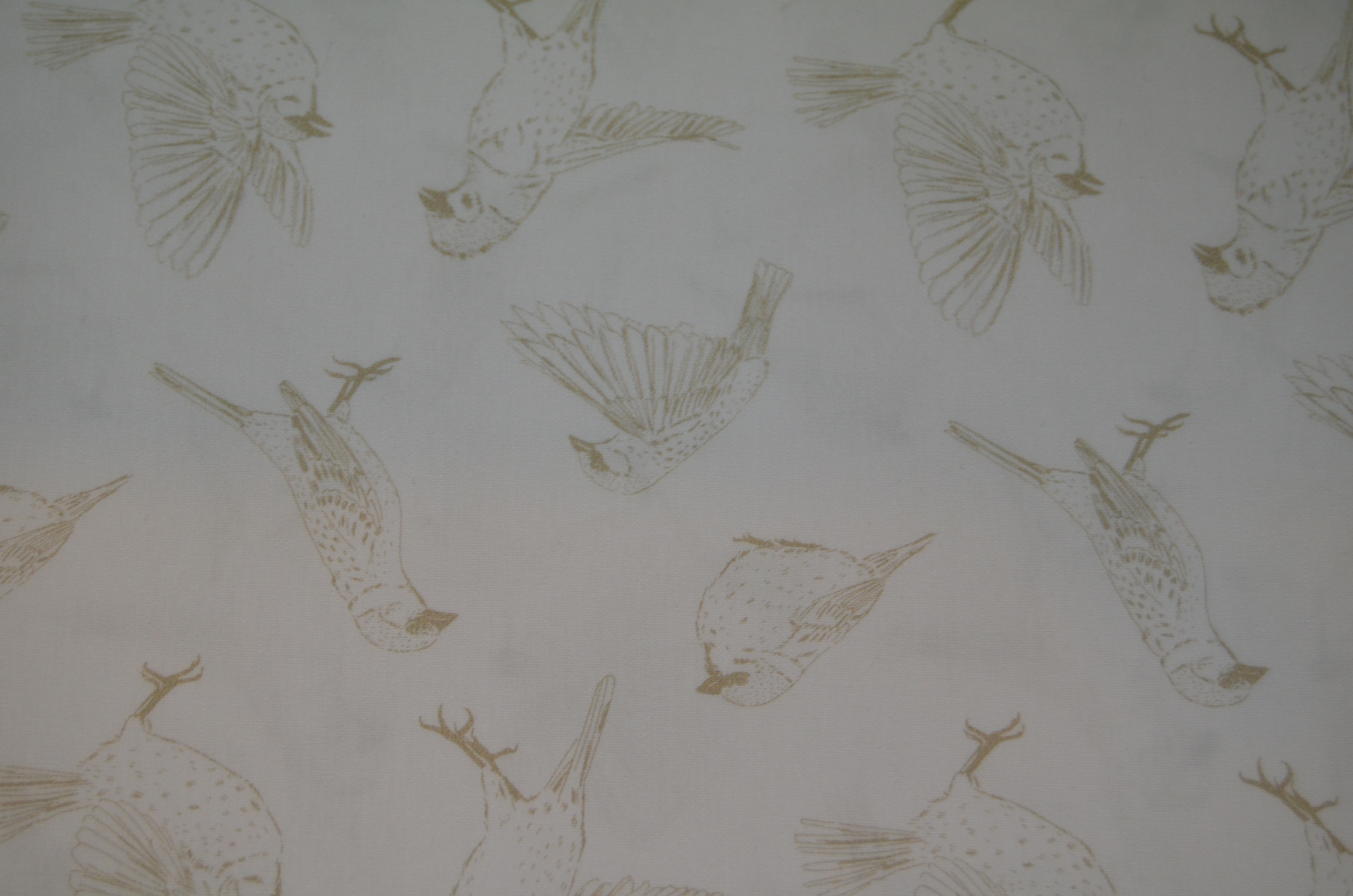 Baumwolle/ Webware Vogel