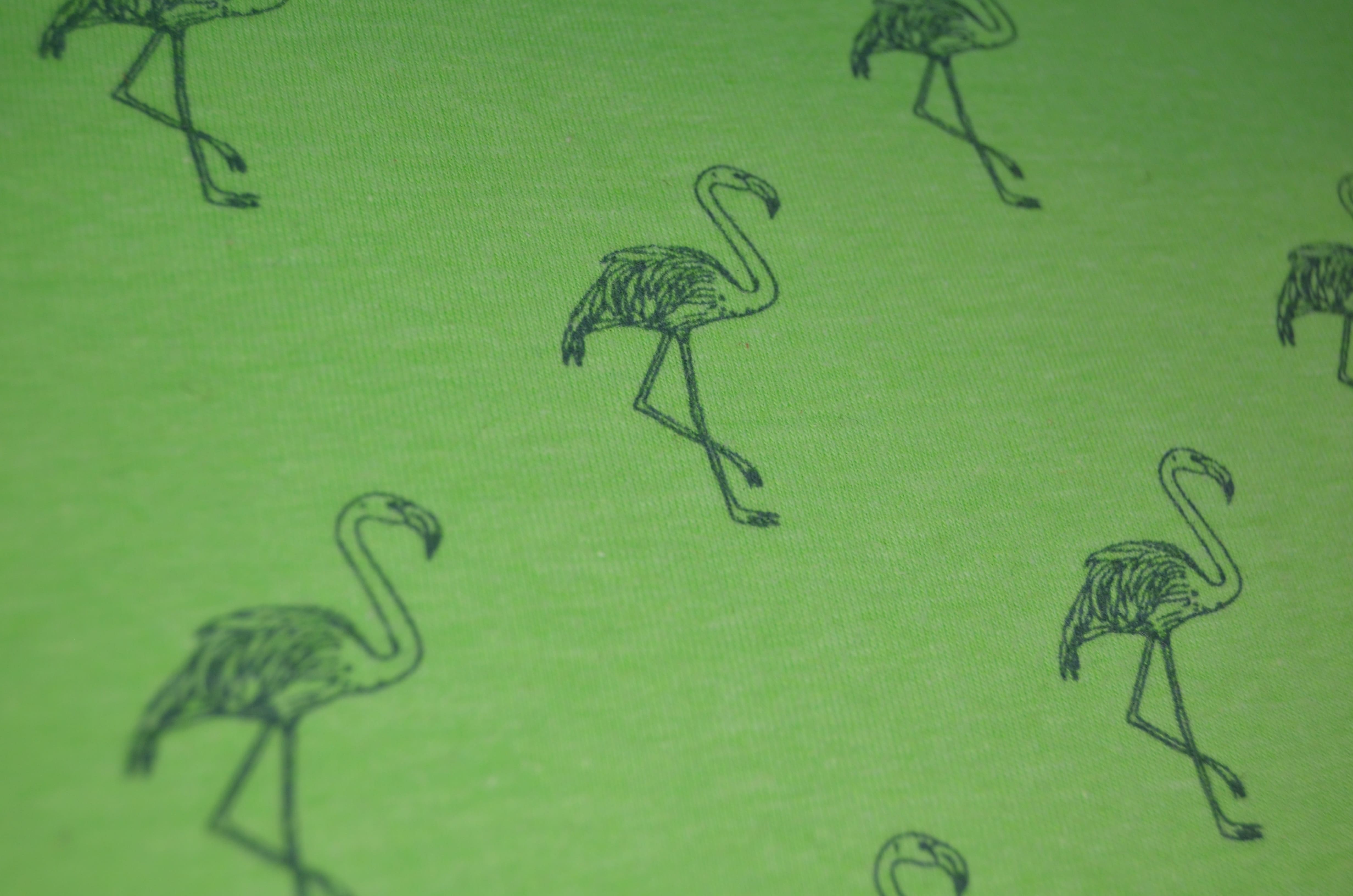 Jersey Flamingo neon-grün